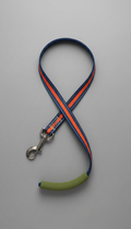 Nylon Training Leash with Padded Handle